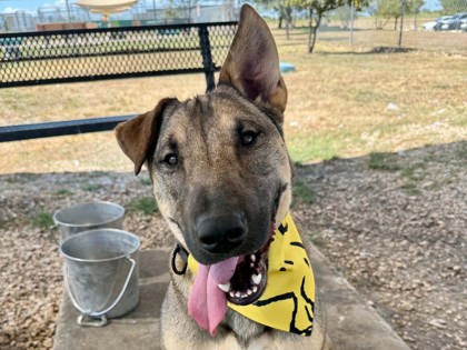 Meet Banks