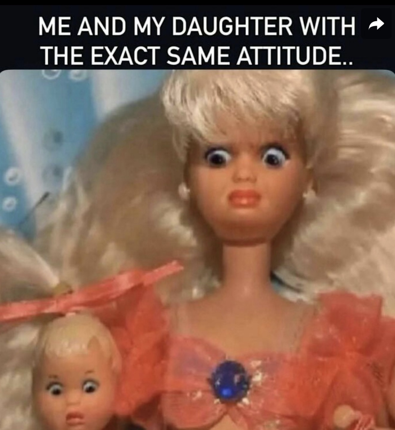 Meme 4