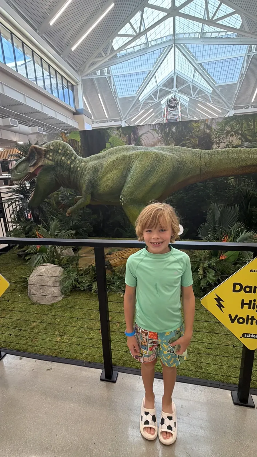 A child looks up at the animatronic T. rex inside Cedar Park SCHEELS
